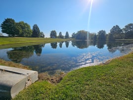 aquatic weed infestation