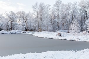 Frozen Pond in Winter
