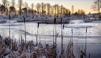 Winter pond aeration guide