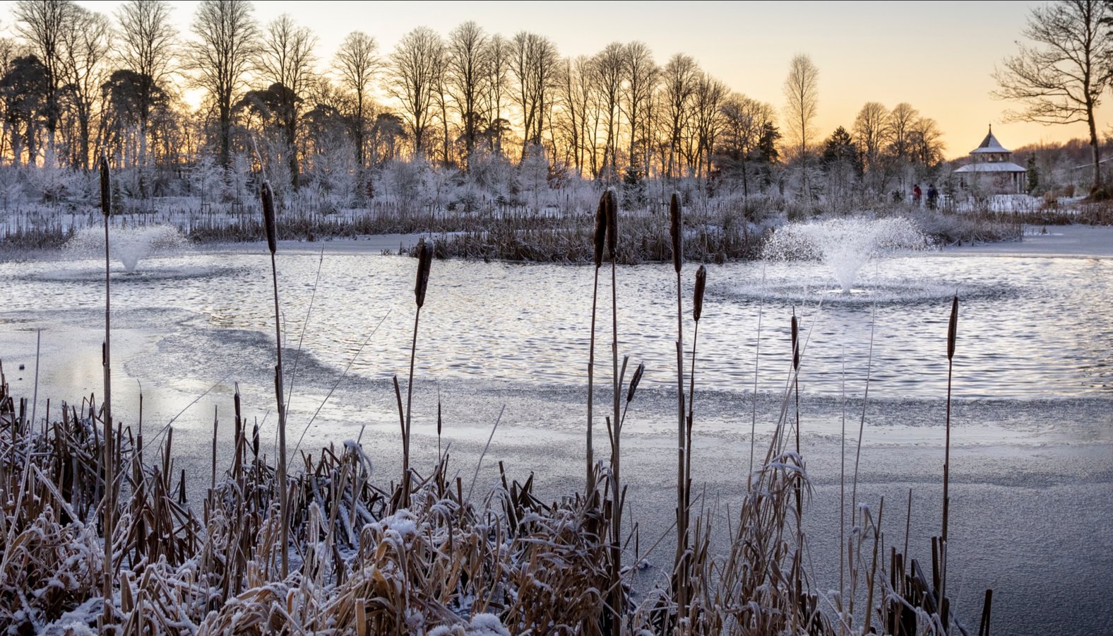 Winter pond aeration guide