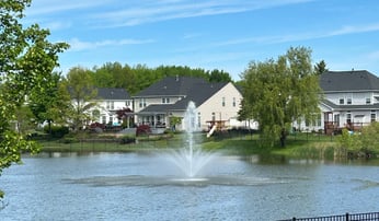 fountain at HOA