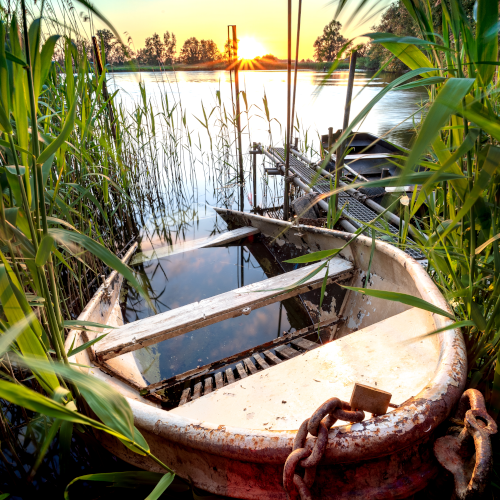 CatTail-Boat-pond