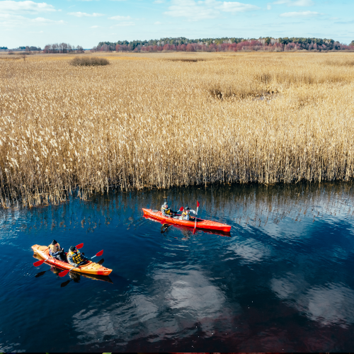 CatTail-kayakers
