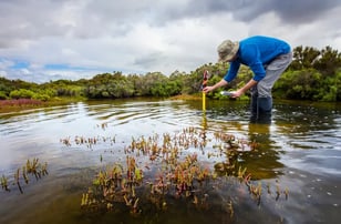 Sediment Sampling