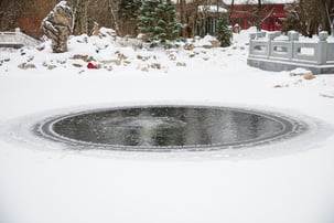Diffuser in Frozen Pond