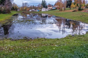 Fall: The Best Time for Pond Dredging 